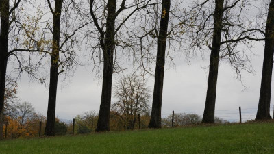 DSCN1185.JPG
