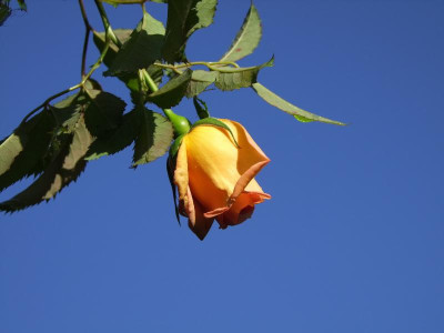 06.11.2017 12-21-59_3372.jpg
