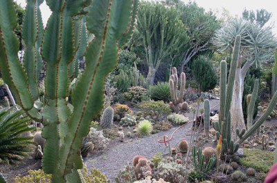 La_Palma66.jpg