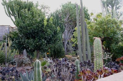 La_Palma70.jpg