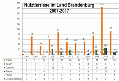 wolf_nutztierrisse.gif