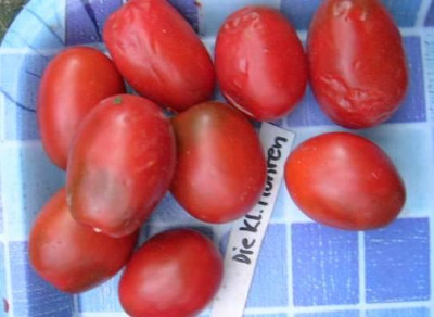 Vergleich_Braune_Eier__Die_Kleinen_Mohren.jpg