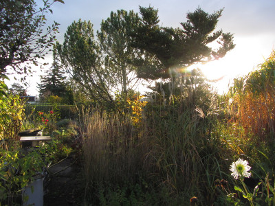 Herbst-Impressionen.jpg