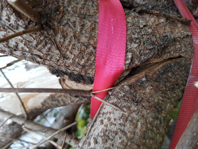 20171107_162044.jpg