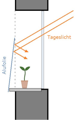 Aussaaten.jpg