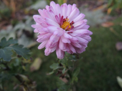 DSCN5113_2756.JPG