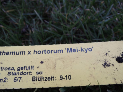 DSCN5114_2757.JPG