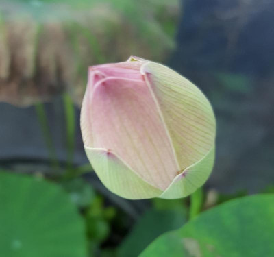 20170810_100102.jpg