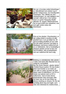 Verbesserung Mikroklima Norwegen-page-003.jpg