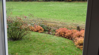 DSCN1227.JPG