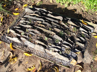 Schiefer crevice7.jpg
