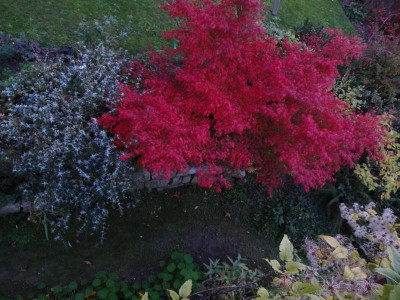 DSC06968.JPG