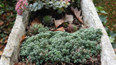 DSCN1139.JPG