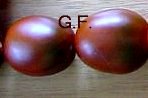 Tschornij_Mawr_frucht.jpg