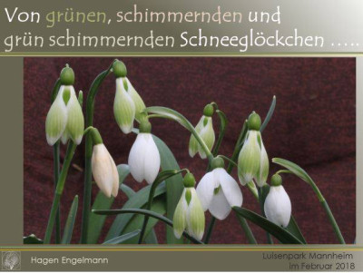 Eingangsbild Hagen.jpg