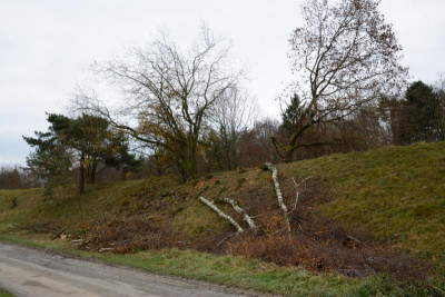 Mitmachaktionnachsägekursbirkengruppeerlegtdakommtnochmehr.jpg