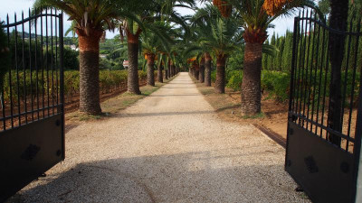 www.chateauvalmer.com P9270450.JPG