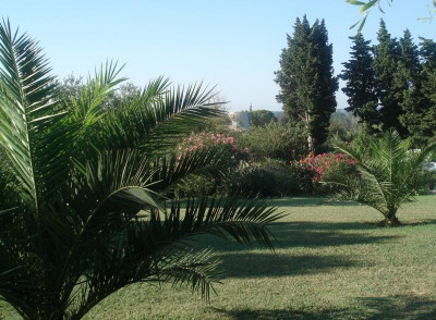 DSC01293a.jpg