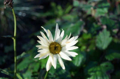 DSC08237.JPG