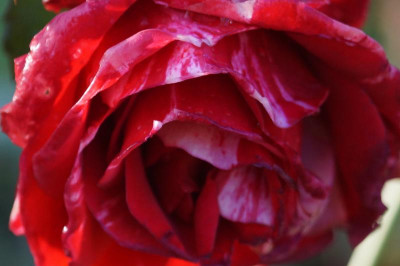 DSC08251.JPG