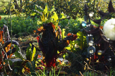 DSC08247.JPG