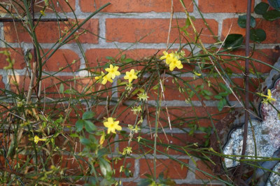 DSC08234.JPG