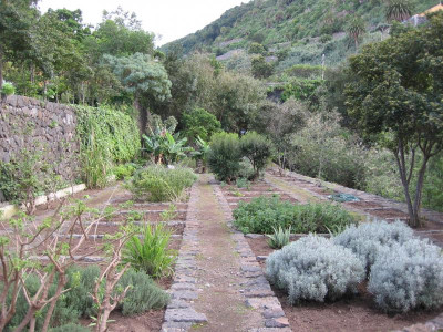 Icod Jardin Draco 21.JPG