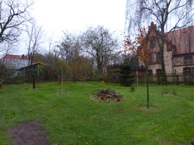 2017-11-20 Birkenhain 2.jpg