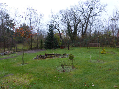 2017-11-20 Birkenhain 3.jpg