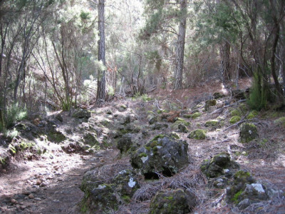 Valle de Orotava 13.JPG