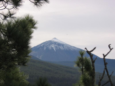 Valle de Orotava 61.JPG
