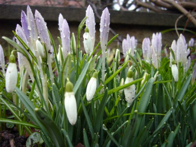 16.02.2007.0.JPG