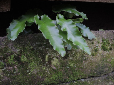 DSCN2841_2799.JPG