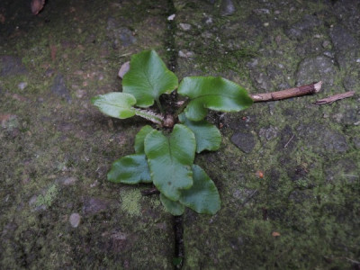 DSCN2843_2800.JPG