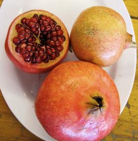 punica-serenevyi.jpg