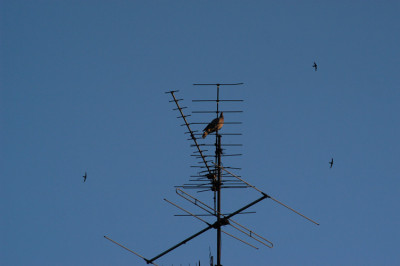 flugbetrieb_6193.jpg