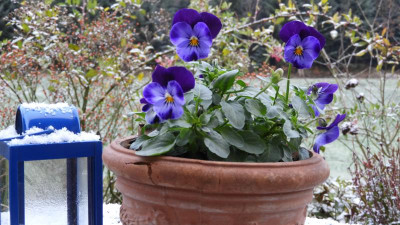 DSCN1302.JPG
