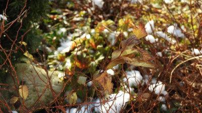 DSCN1316.JPG