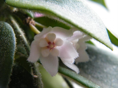 DSCF3801.JPG