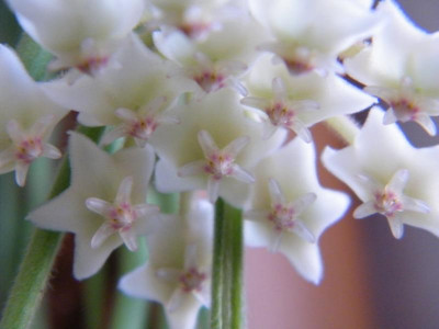DSCF3680.JPG
