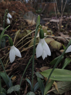 DSCN2875_2811.JPG