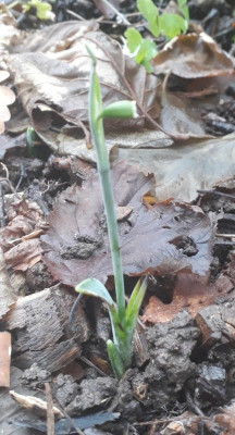 20171206_133833.jpg