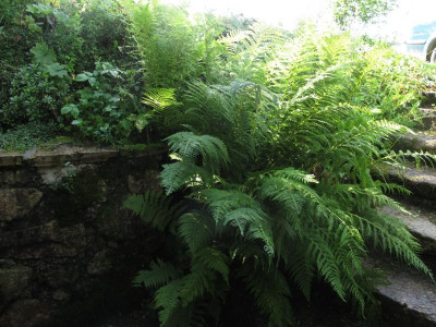 farnnord1.img.JPG