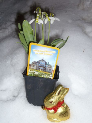 2013-03-30 Ubigau.jpg