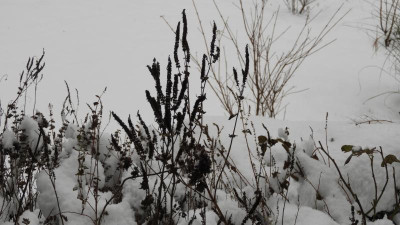 DSCN1373.JPG