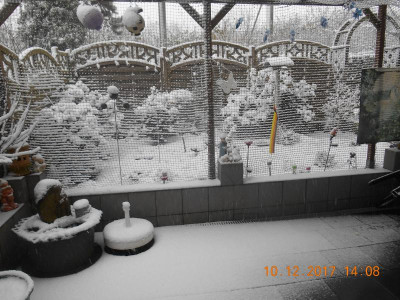 DSCN4601.JPG