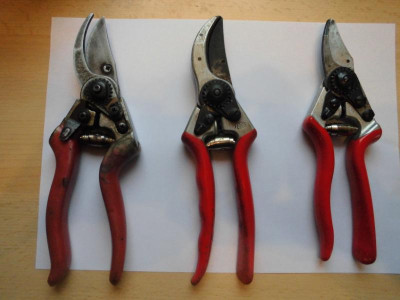 3 Felcos-1.JPG