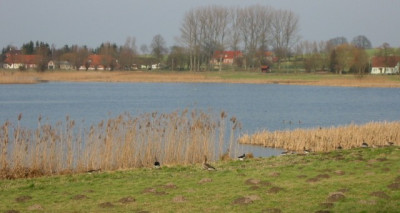 seewiese1.JPG