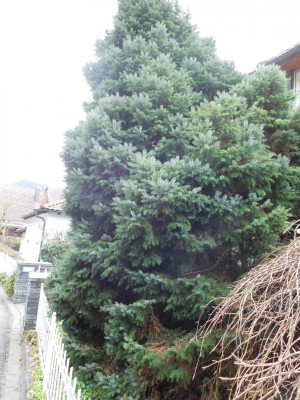 DSCN2332.JPG