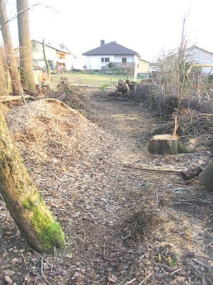 Aufgeraumt.jpg
